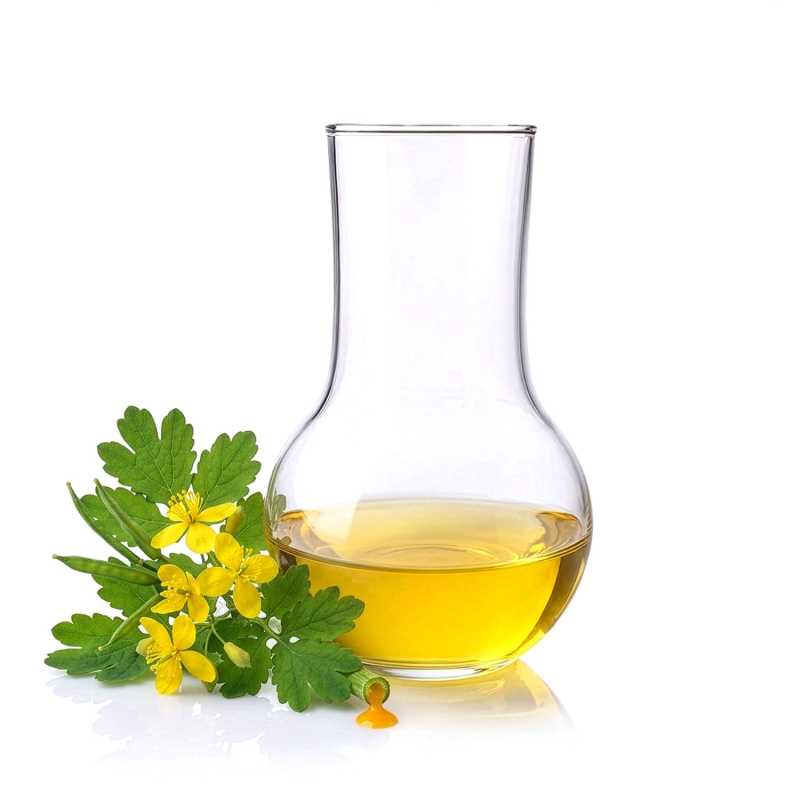 Aktív lipokivonat vérehulló fecskefűből, 500 ml