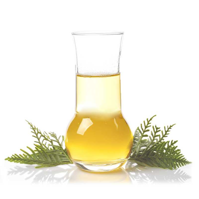 Ciprus illóolaj, 500 ml