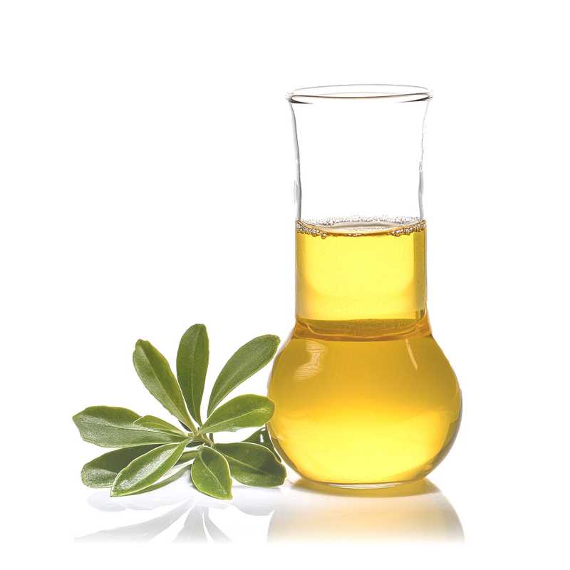 Ravensara illóolaj 500 ml