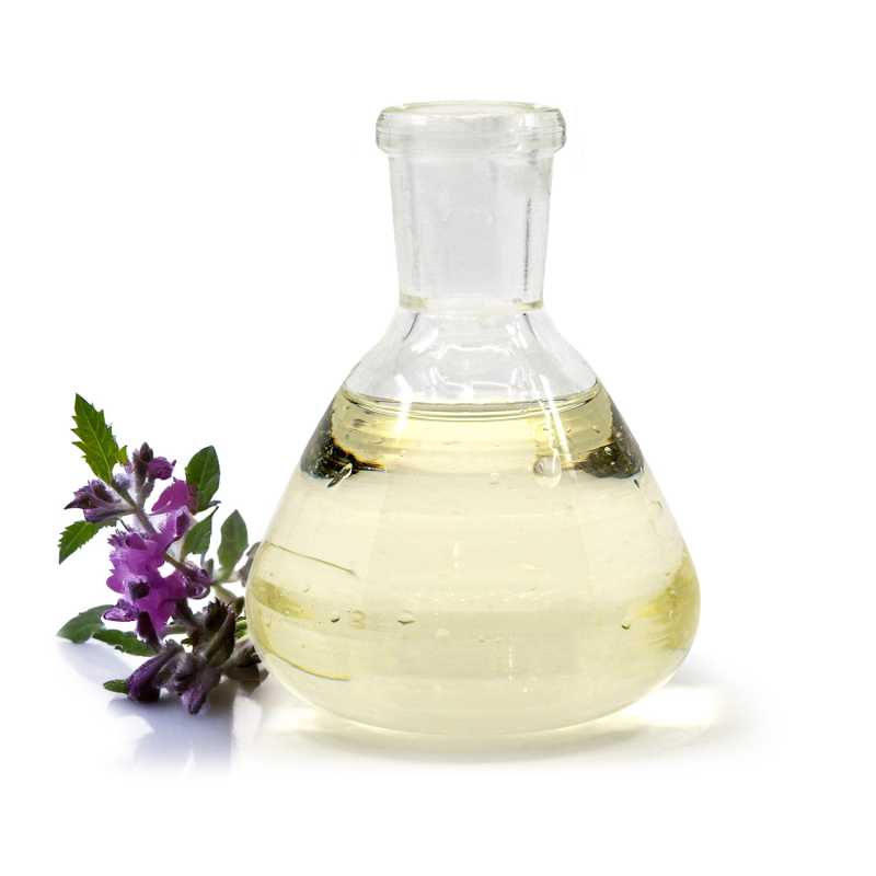 Feketenadálytő-macerátum napraforgóolajban, 100 ml